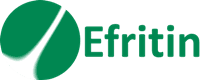 Your Company